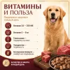 Monge Dog Grill корм для собак с курицей и индейкой кусочки в соусе беззерновой 100 г