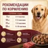 Monge Dog Grill корм для собак с курицей и индейкой кусочки в соусе беззерновой 100 г
