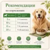 Monge Dog Grill корм для собак с ягненком и овощами кусочки в соусе беззерновой 100 г