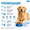 Monge Natural Superpremium All Breeds Adult Light Salmon & Rice сухой корм с лососем и рисом для взрослых собак, 2,5 кг