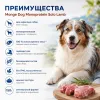 Monge Dog Monoprotein Solo Beef влажный корм-паштет с говядиной для взрослых собак 150 г