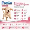 Monge Dog Monoprotein Puppy Junior Beef Rice сухой корм с говядиной для щенков всех пород 2,5 кг