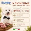 Monge Grill Cat Sterilised Trout влажный корм с форелью для стерилизованных кошек, кусочки в желе, 85 г