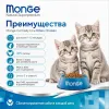 Monge Cat Daily Line Kitten Chicken сухой корм с курицей для котят, беременных и кормящих кошек 1,5 кг