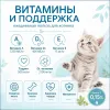 Monge Monoprotein Trout для котят 85 г — влажный беззерновой паштет с форелью