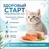 Monge Monoprotein Trout для котят 85 г — влажный беззерновой паштет с форелью