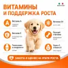 Monge Dog Monoprotein Puppy & Junior Duck сухой корм для щенков с уткой, рисом и картофелем, 12 кг