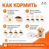 Monge Dog Monoprotein Puppy & Junior Duck сухой корм для щенков с уткой, рисом и картофелем, 12 кг