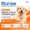 Monge Dog Monoprotein Puppy & Junior Duck сухой корм для щенков с уткой, рисом и картофелем, 12 кг