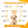 Monge Dog Grill Puppy & Junior Chicken and Turkey влажный корм с курицей и индейкой для щенков 100 г