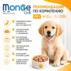Monge Dog Grill Puppy & Junior Chicken and Turkey влажный корм с курицей и индейкой для щенков 100 г