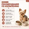 Monge Dog Monoprotein Mini Puppy & Junior Salmon & Rice сухой корм с лососем для щенков миниатюрных пород 2,5 кг