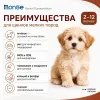 Monge Dog Monoprotein Puppy & Junior Mini Lamb корм для щенков мелких пород с ягнёнком 800 г