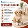 Monge Dog Monoprotein Puppy & Junior Mini Lamb корм для щенков мелких пород с ягнёнком 800 г
