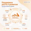 Monge Natural Superpremium All Breeds Puppy & Junior Salmon & Rice сухой корм с лососем и рисом для щенков, 12 кг