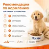 Monge Natural Superpremium All Breeds Puppy & Junior Salmon & Rice сухой корм с лососем и рисом для щенков, 12 кг