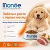 Monge Natural Superpremium All Breeds Puppy & Junior Salmon & Rice сухой корм с лососем и рисом для щенков, 12 кг