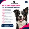 Mr.Kranch Бумеранг игрушка для собак с пищалкой, розовый, 22 см