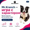 Mr.Kranch Бумеранг игрушка для собак с пищалкой, розовый, 22 см