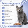 НАЛАПУ Beauty с форелью 77 г — влажный корм для кошек для красоты шерсти
