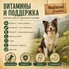 Natural Greatness Lamb Recipe Sensitive сухой корм для взрослых собак с чувствительным пищеварением с ягнёнком, 10 кг