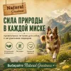 Natural Greatness Lamb Recipe Sensitive сухой корм для взрослых собак с чувствительным пищеварением с ягнёнком, 10 кг