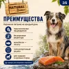 Natural Greatness Salmon Recipe Sensitive Adult Medium & Large сухой корм для взрослых собак средних и крупных пород с лососем, 10 кг