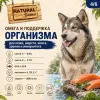 Natural Greatness Salmon Recipe Sensitive Adult Medium & Large сухой корм для взрослых собак средних и крупных пород с лососем, 10 кг