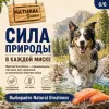 Natural Greatness Salmon Recipe Sensitive Adult Medium & Large сухой корм для взрослых собак средних и крупных пород с лососем, 10 кг