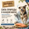 Natural Greatness Salmon Recipe Sensitive Adult Medium & Large сухой корм для взрослых собак средних и крупных пород с лососем, 2 кг