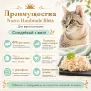 Nuevo Handmade Filets Adult Cat с индейкой в желе дополнительное лакомство для взрослых кошек, 70 г