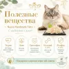 Nuevo Handmade Filets Adult Cat с индейкой в желе дополнительное лакомство для взрослых кошек, 70 г