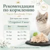 Nuevo Handmade Filets Adult Cat с индейкой в желе дополнительное лакомство для взрослых кошек, 70 г