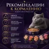 Nuevo Multipack Cat влажный корм для кошек, мультипак 3 вкуса, 6 × 85 г