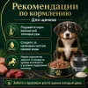 Nuevo Junior влажный корм с курицей, говядиной и рисом для щенков, с кальцием, 400 г