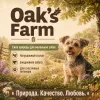 Oak's Farm Grain Free Adult Small & Mini Breed Dogs Lamb сухой беззерновой корм с ягнятиной для мелких собак, 2 кг