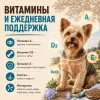 OAK'S FARM Adult Small & Mini White Fish сухой беззерновой корм с белой рыбой для мелких собак, 2 кг
