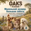 OAK'S FARM Adult Small & Mini White Fish сухой беззерновой корм с белой рыбой для мелких собак, 2 кг
