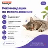 Petstages Мышка со звуком игрушка с кошачьей мятой для кошек, 4 см