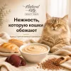 Natural Kitty Creamy Treats крем-суп с курицей, печенью и семенами льна для кошек, 4×12 г