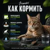 Primordial Cat Adult Salmon & Tuna корм для кошек лосось и тунец беззерновой холистик 6 кг