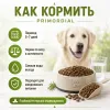 Primordial Grain Free Adult Dog беззерновой корм для взрослых собак с форелью и уткой, 20 кг