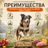 Primordial Grain Free Adult All Breeds беззерновой корм для взрослых собак с олениной и индейкой, 2 кг