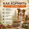 Primordial Grain Free Adult All Breeds беззерновой корм для взрослых собак с олениной и индейкой, 2 кг