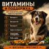 Primordial Grain Free Adult All Breeds беззерновой корм-холистик для взрослых собак с тунцом и ягнёнком, 12 кг