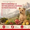 Primordial Grain Free Mini Adult Dog беззерновой корм для взрослых собак мелких пород с уткой и перепелом, 2 кг