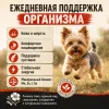 Primordial Grain Free Mini Adult Dog беззерновой корм для взрослых собак мелких пород с перепелом и уткой, 6 кг