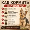 Primordial Grain Free Mini Adult Dog беззерновой корм для взрослых собак мелких пород с перепелом и уткой, 6 кг
