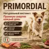 Primordial Grain Free Mini Adult Dog беззерновой корм для взрослых собак мелких пород с перепелом и уткой, 6 кг
