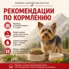 Primordial Grain Free Mini Adult Dog беззерновой корм для взрослых собак мелких пород с сардиной и гусем, 6 кг